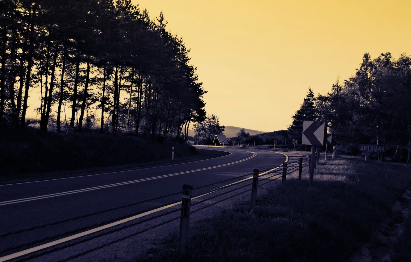 Photo wallpaper road, trees, landscape, nature, morning, turn