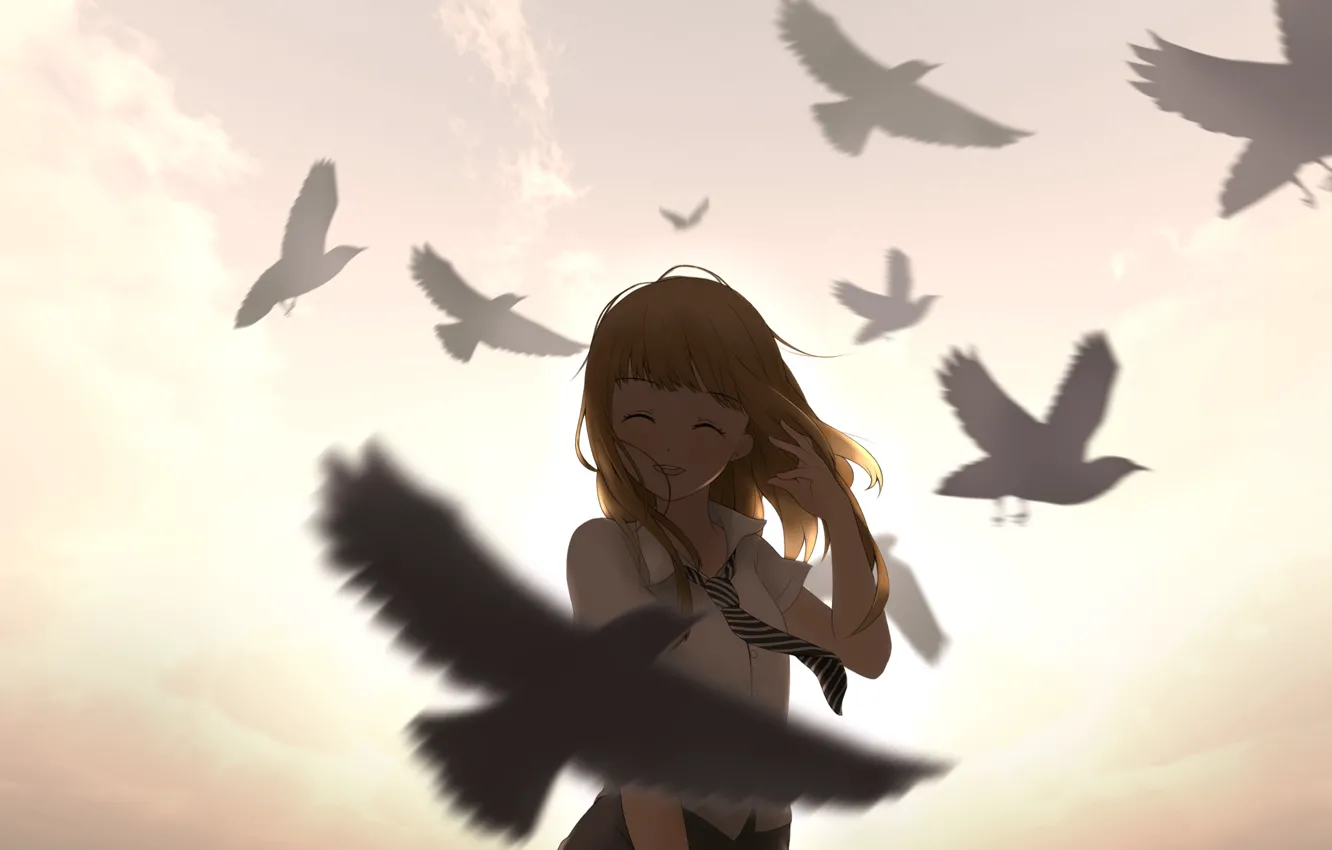 Photo wallpaper the sky, girl, clouds, sunset, birds, smile, anime, art