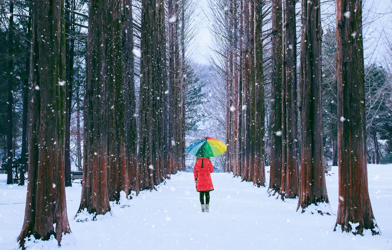 Photo wallpaper winter, girl, snow, trees, Park, umbrella, girl, alley