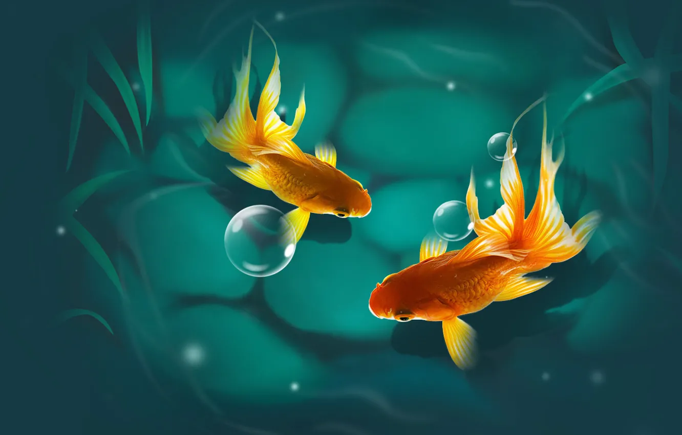 Photo wallpaper fish, mood, art, goldfish