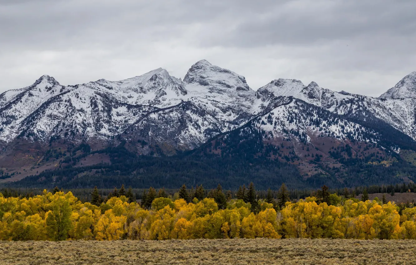 Photo wallpaper autumn, forest, landscape, mountains, nature