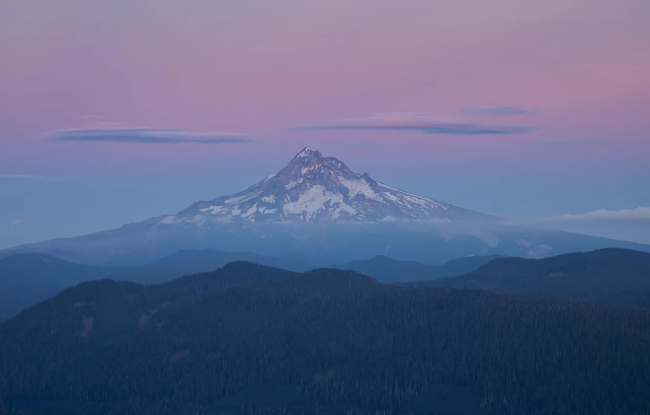 Photo wallpaper forest, snow, mountains, tops, morning, twilight