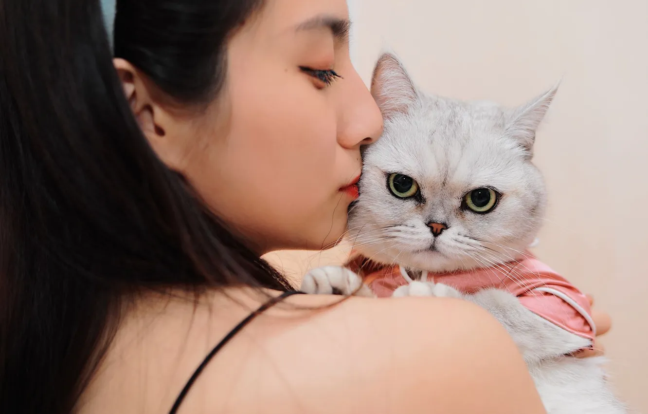 Photo wallpaper cat, white, cat, look, girl, each, portrait, kiss