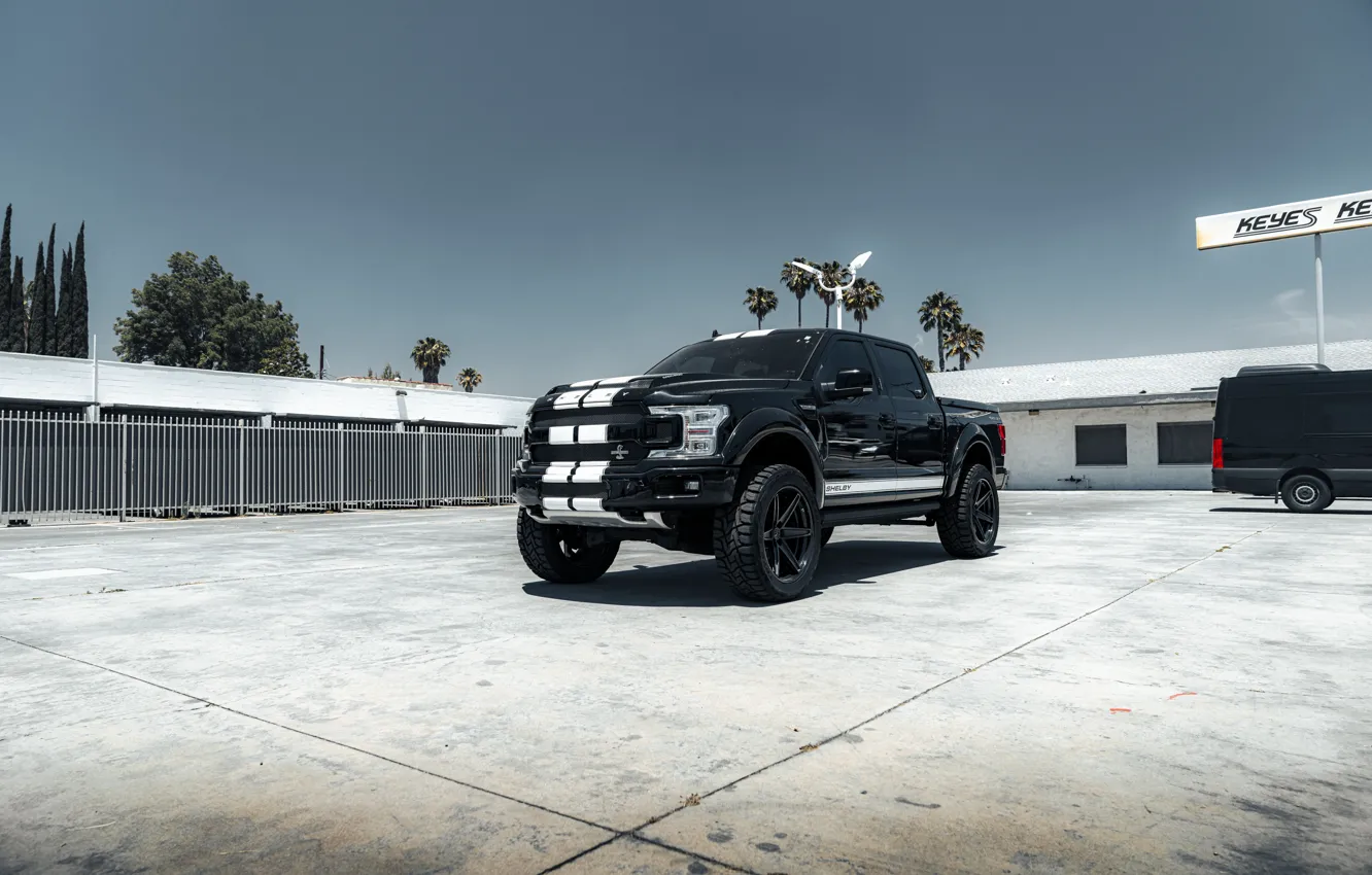 Photo wallpaper Shelby, Black, White, F-150