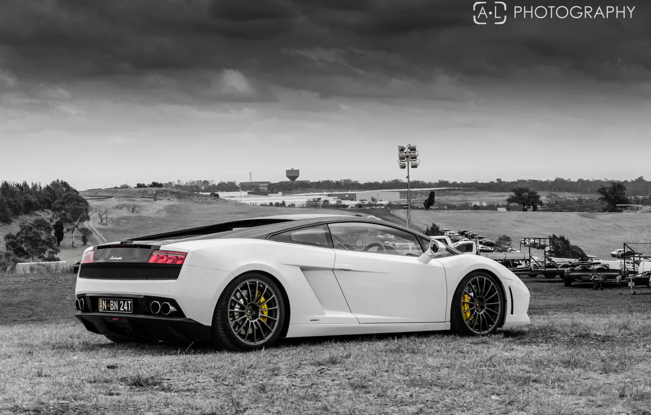 Photo wallpaper black and white, white, white, gallardo, lamborghini, Lamborghini, lp560-4