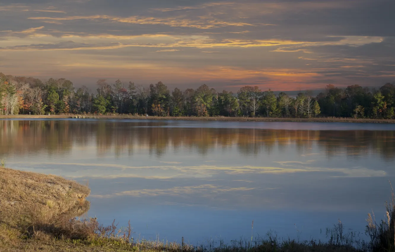 Photo wallpaper autumn, forest, lake, the evening