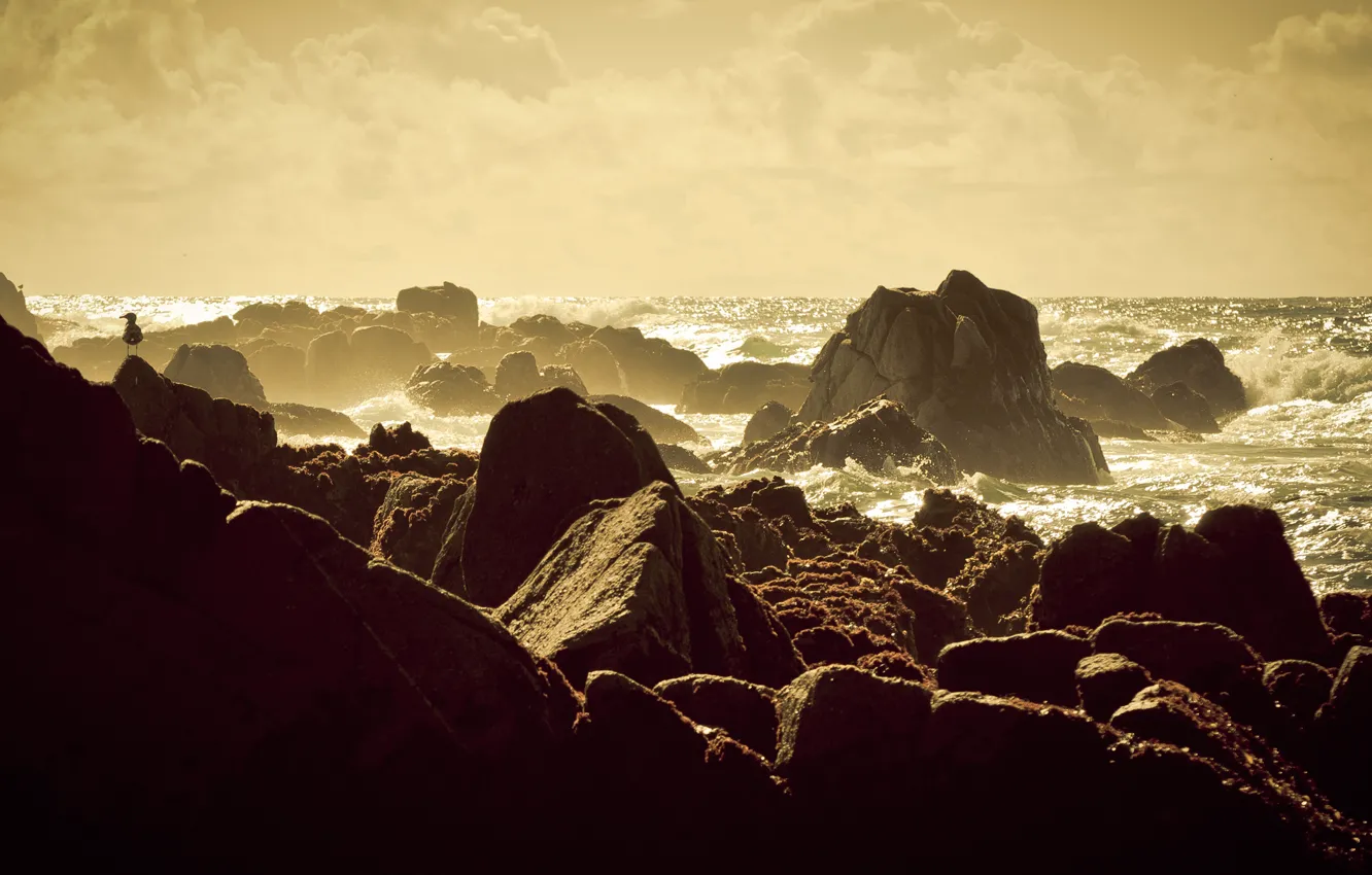Photo wallpaper sea, rocks, shore, surf