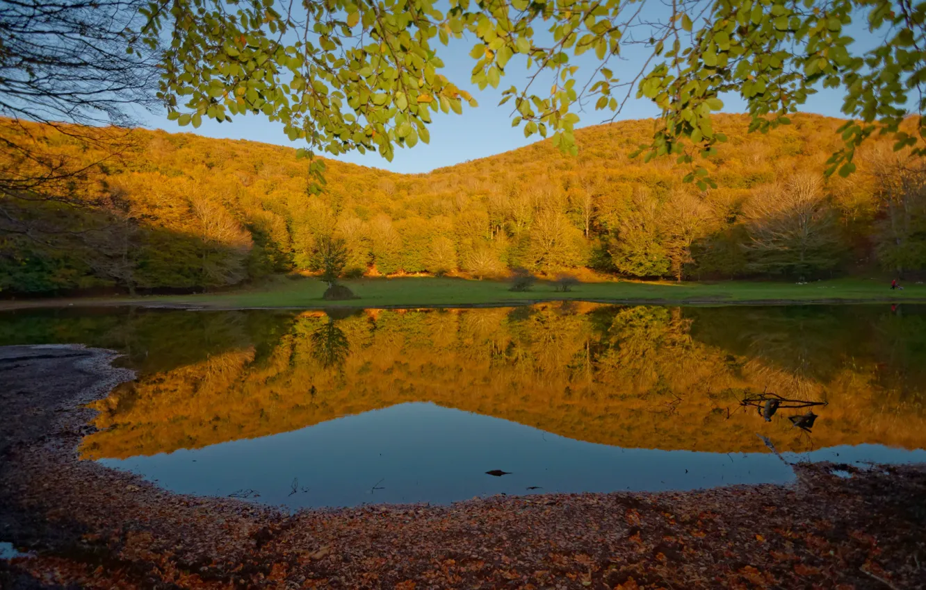 Photo wallpaper autumn, forest, nature, lake, reflection, foliage, forest, autumn