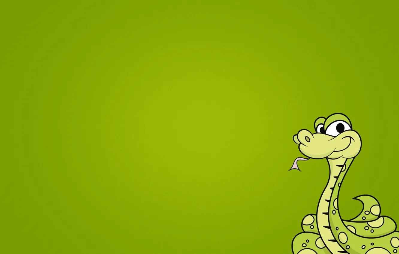 Photo wallpaper snake, minimalism, green background