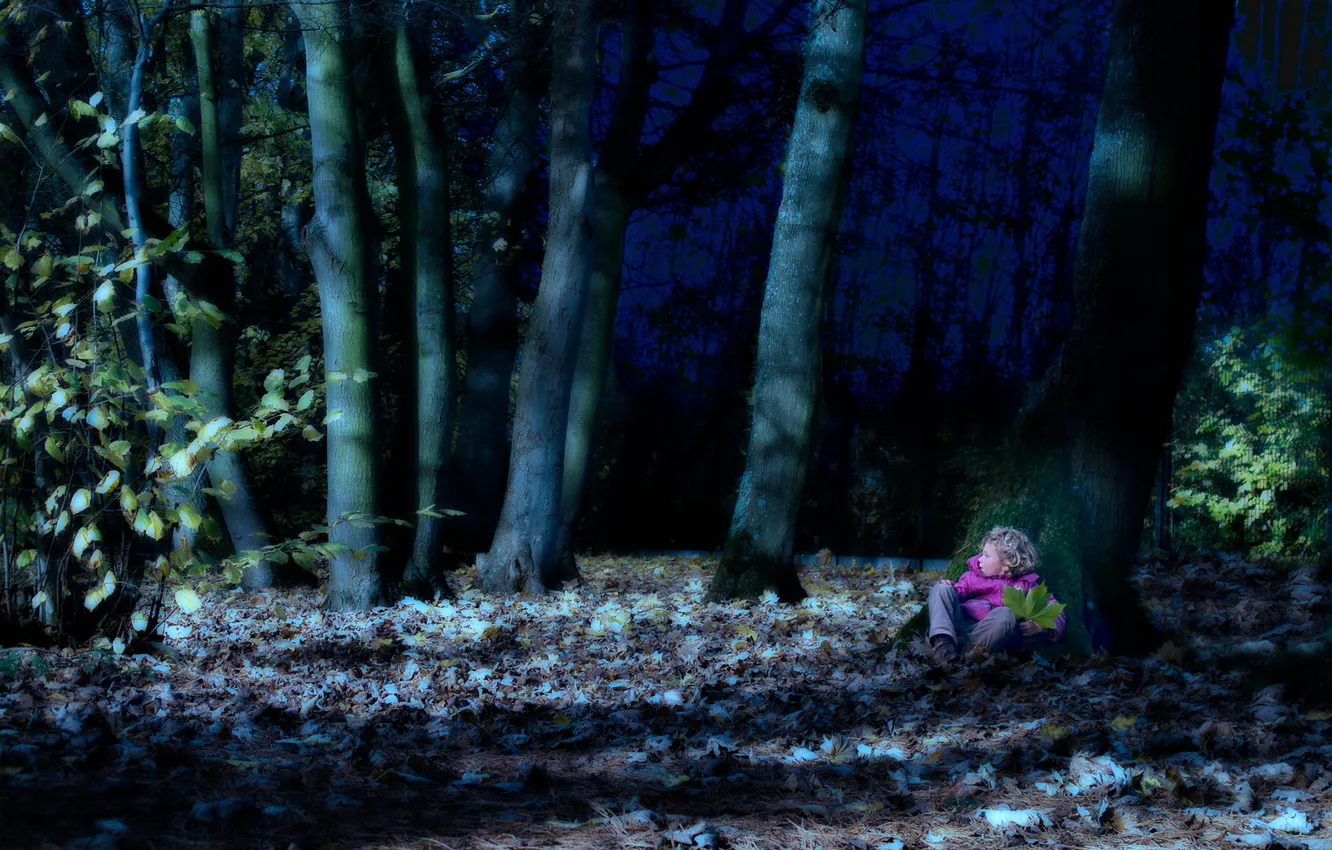 Photo wallpaper forest, night, loneliness, fear, sleep