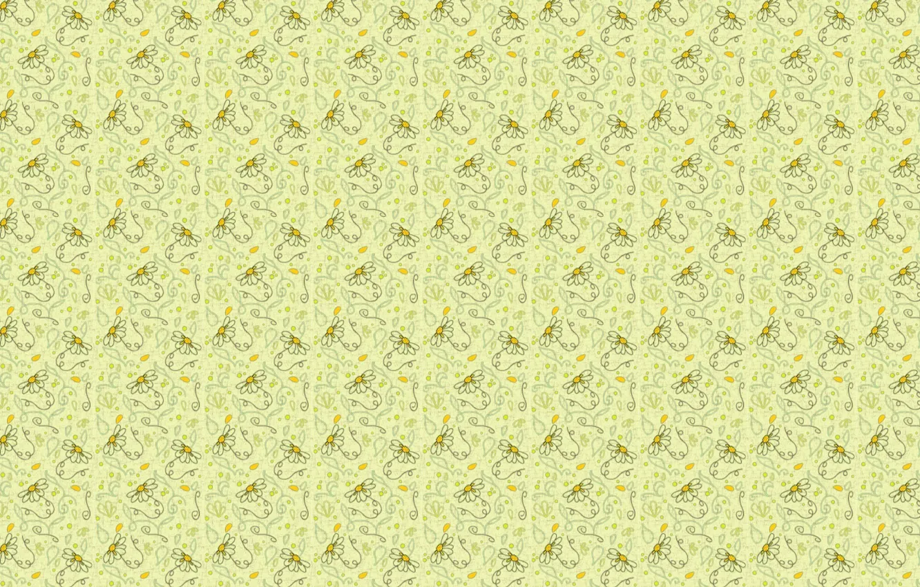 Photo wallpaper flower, background, texture, Daisy, art