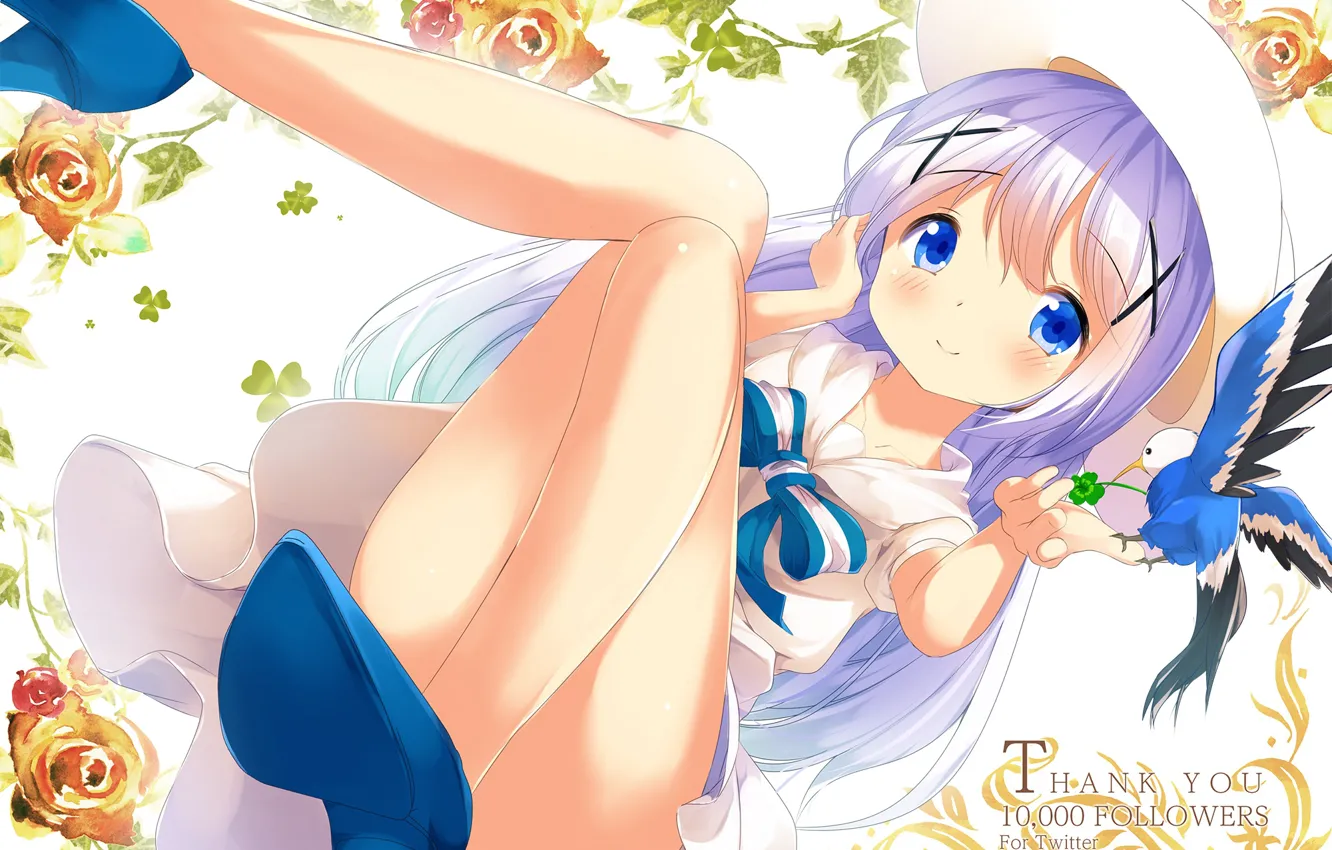 Photo wallpaper roses, anime, girl, Gochuumon wa usagi desu ka?, Rabbit Ordered?