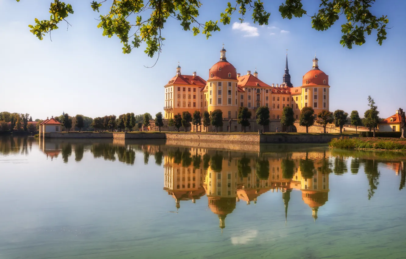 Photo wallpaper trees, branches, lake, reflection, castle, Germany, Germany, Saxony