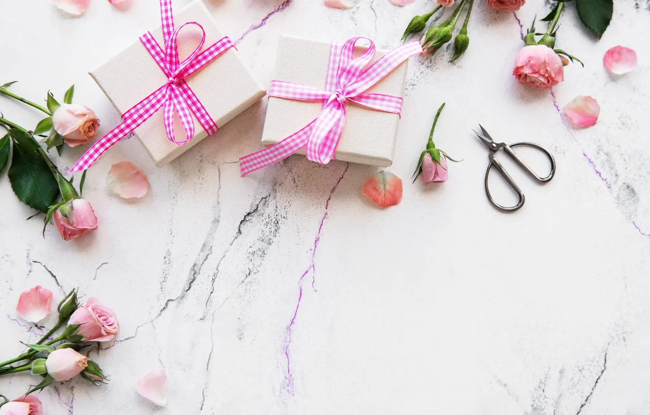 Photo wallpaper flowers, holiday, gift, Olena Rudo