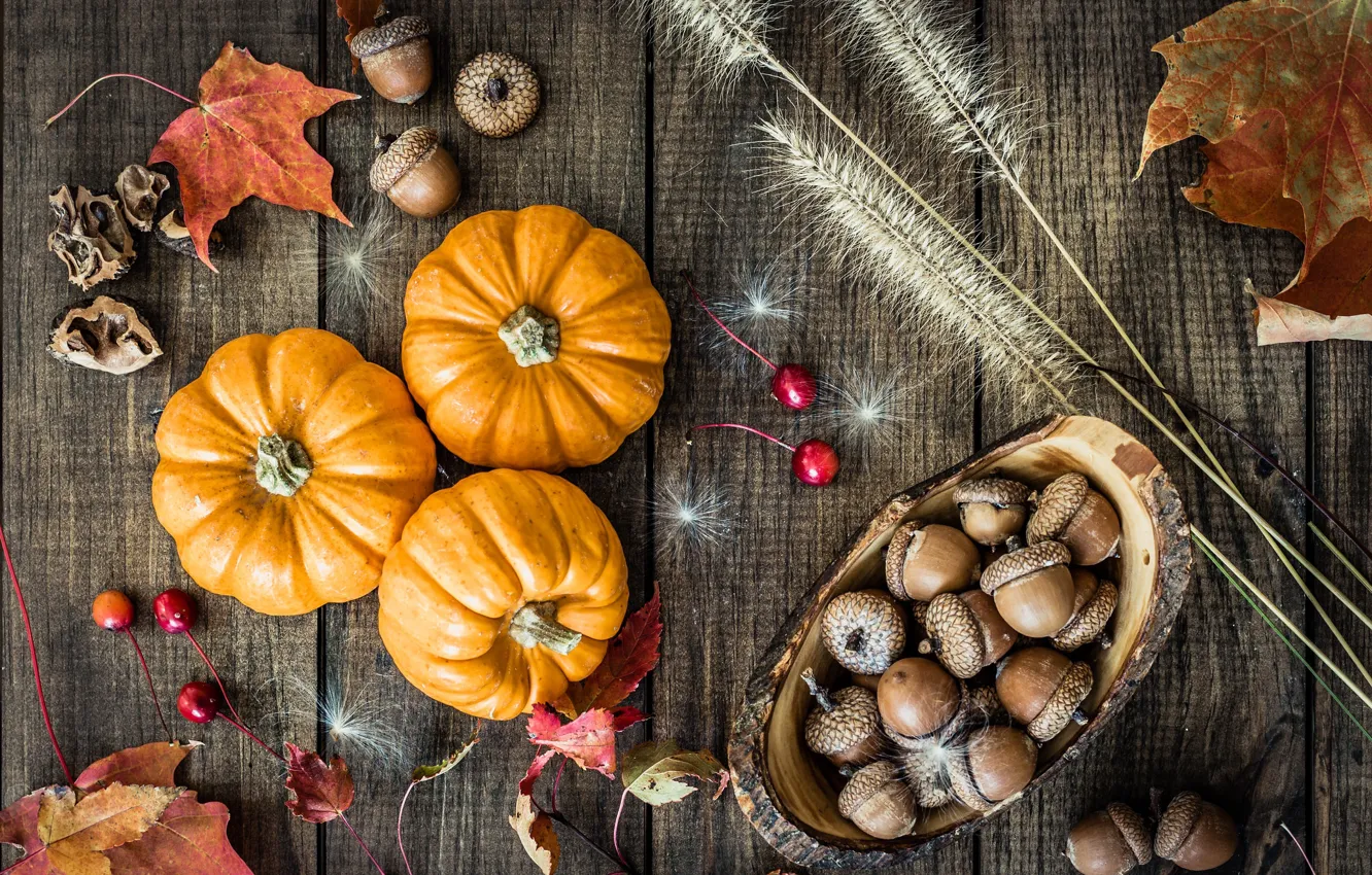 Photo wallpaper autumn, leaves, pumpkin, acorns