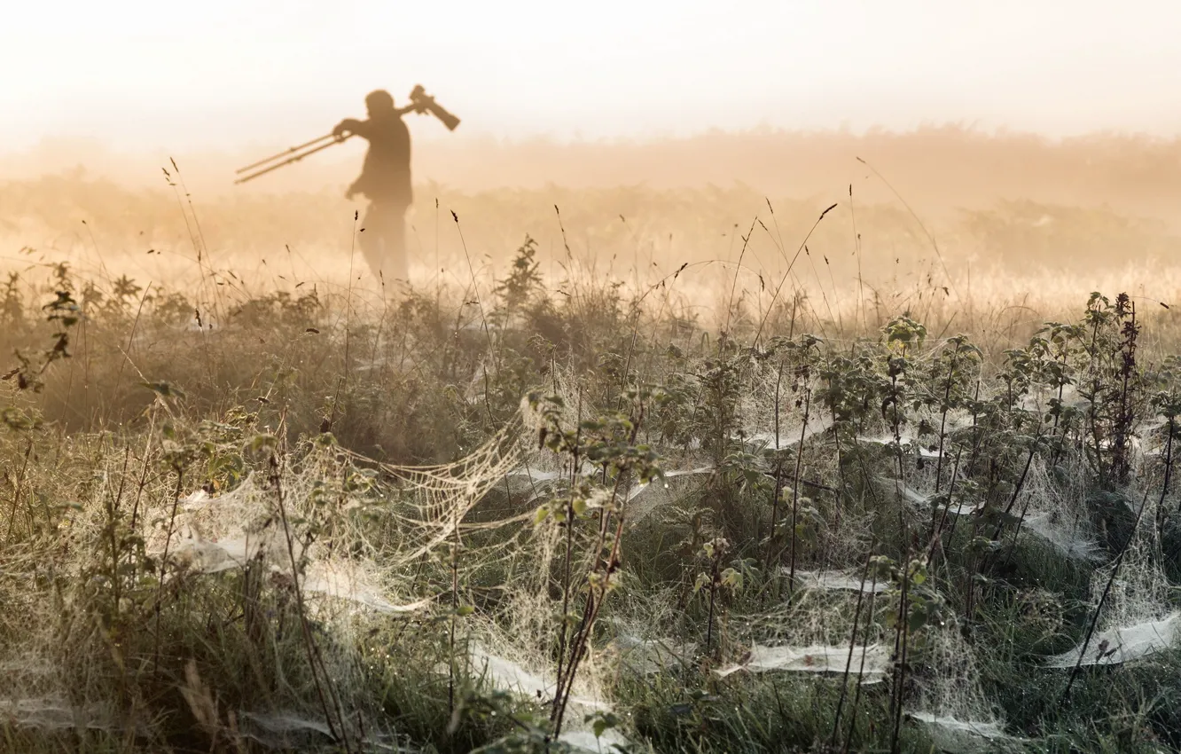 Photo wallpaper field, people, web, morning