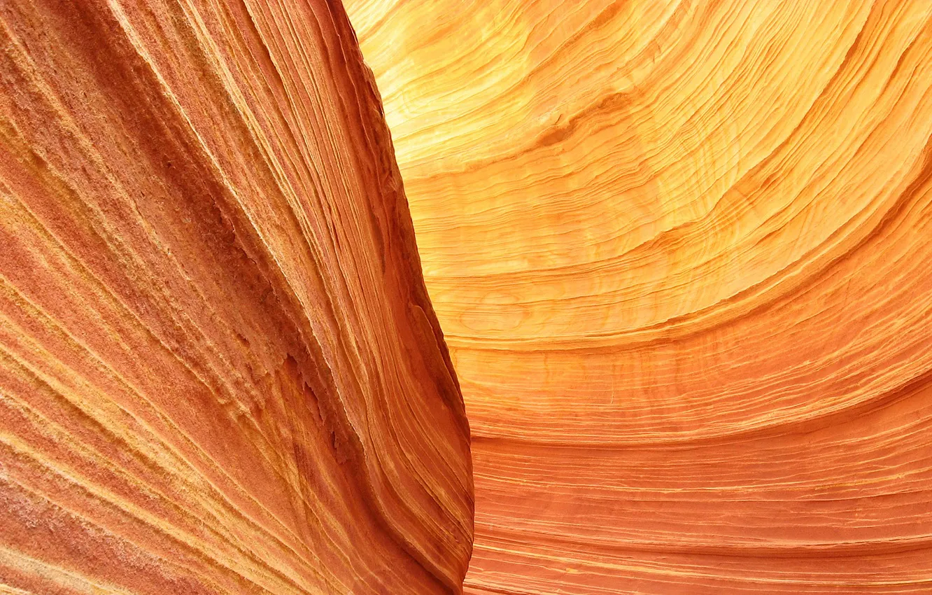 Photo wallpaper colors, red, Forms, yellow, rocks