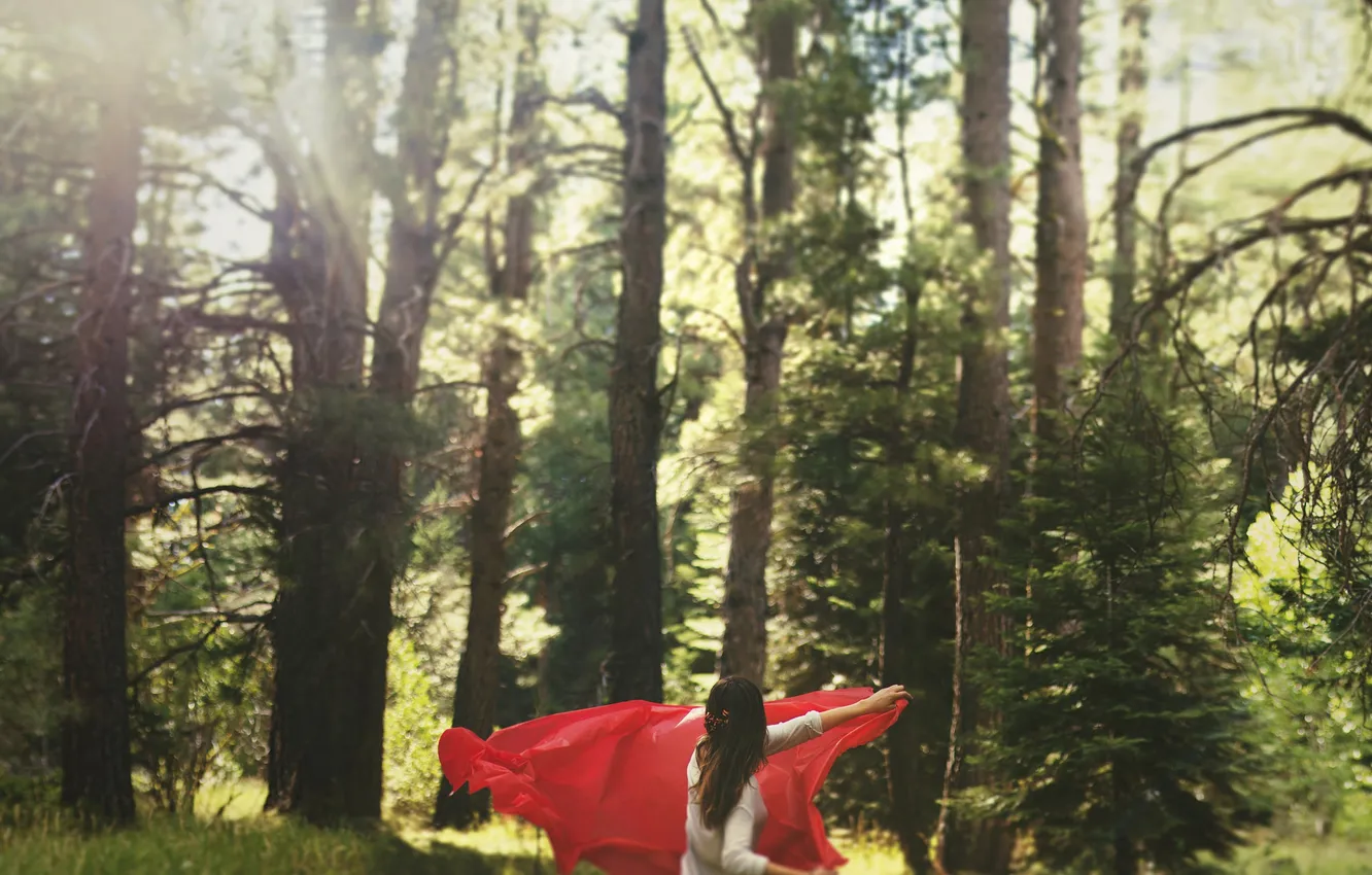 Photo wallpaper forest, girl, trees, red, shawl