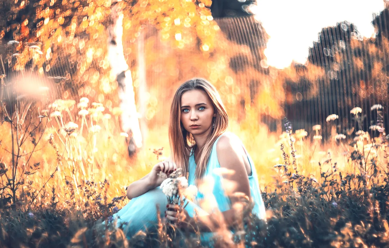 Photo wallpaper summer, look, the sun, sponge