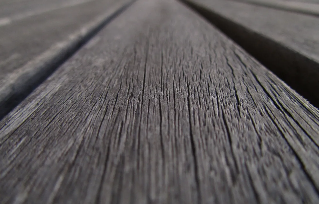 Photo wallpaper macro, trees, photo, Board, wood, wooden, background Wallpaper