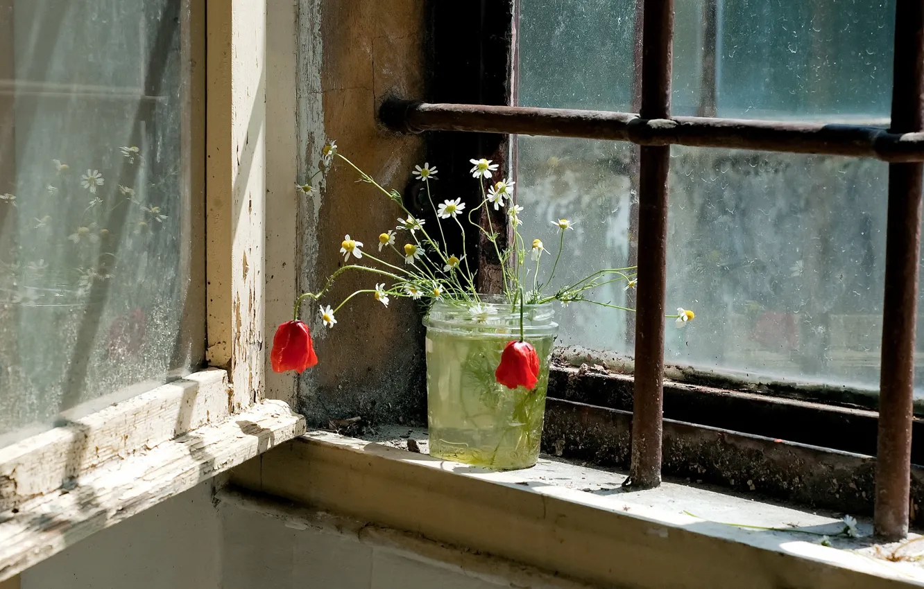 Photo wallpaper flowers, window, Bank