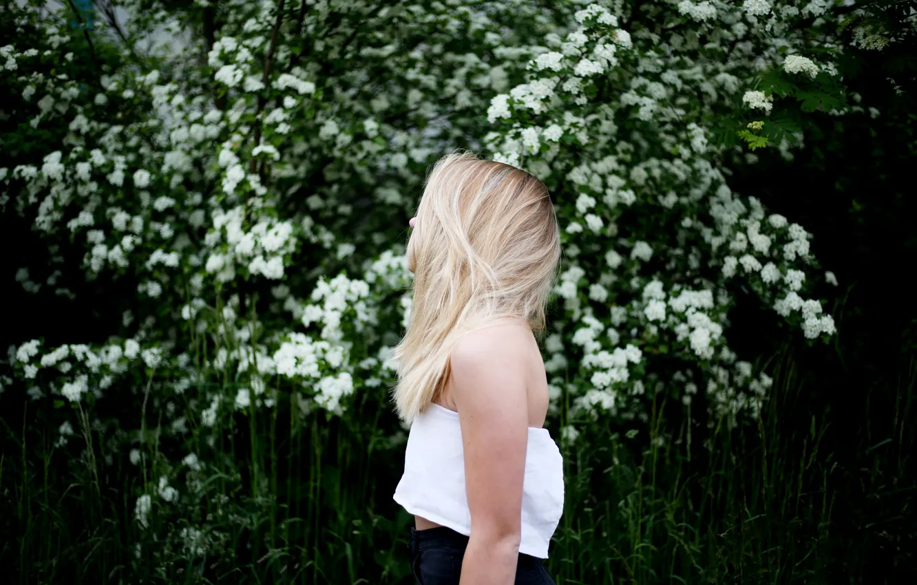 Photo wallpaper girl, Bush, blonde, profile, white flowers