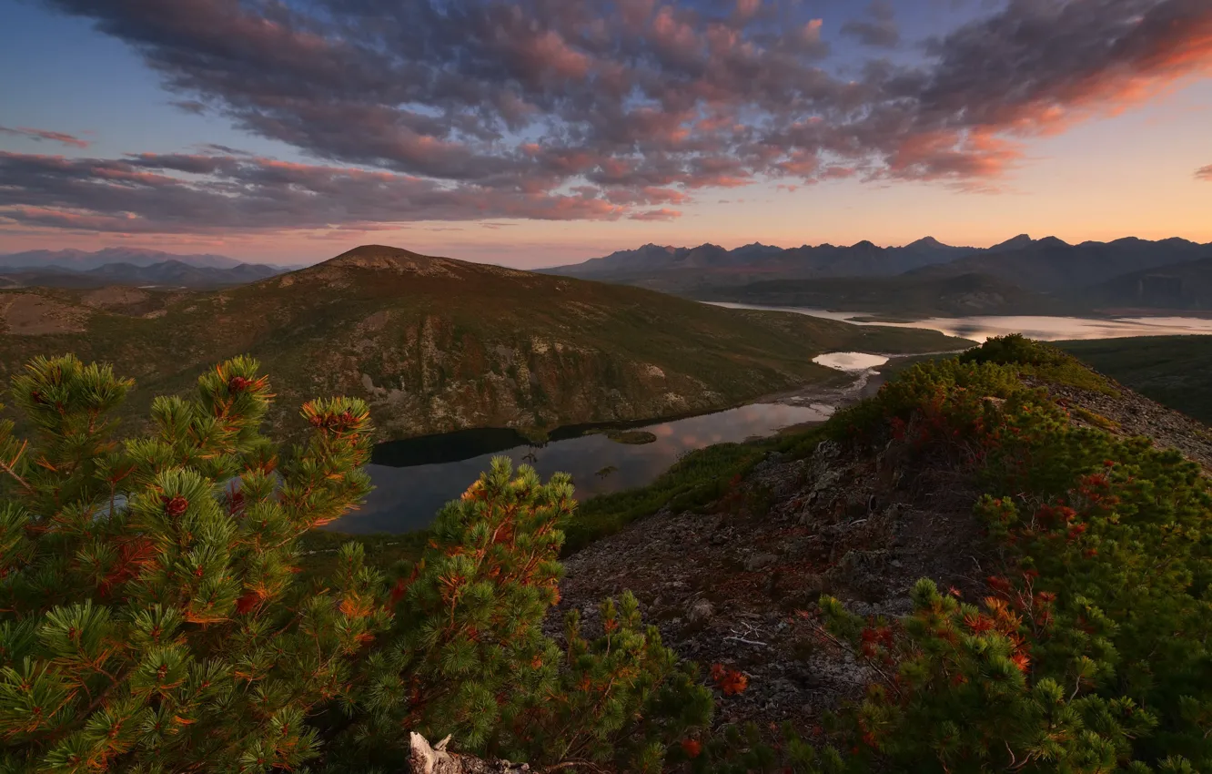 Photo wallpaper clouds, mountains, branches, river, hills, needles, pine
