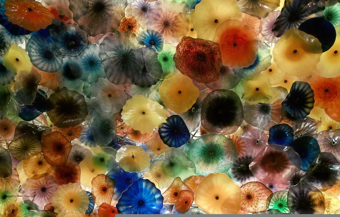 Photo wallpaper animals, color, Jellyfish, underwater