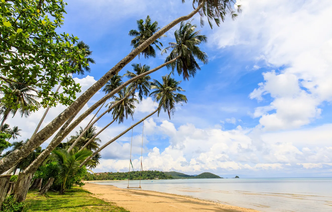Photo wallpaper sand, sea, beach, summer, the sky, the sun, palm trees, shore