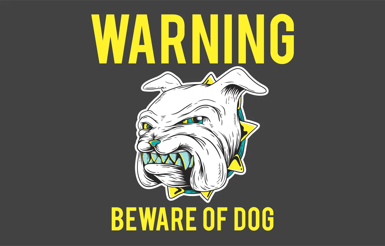 Photo wallpaper dog, teeth, collar, dog, warning