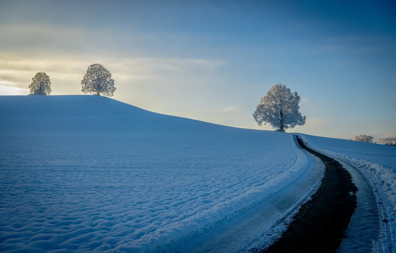 Photo wallpaper winter, road, snow