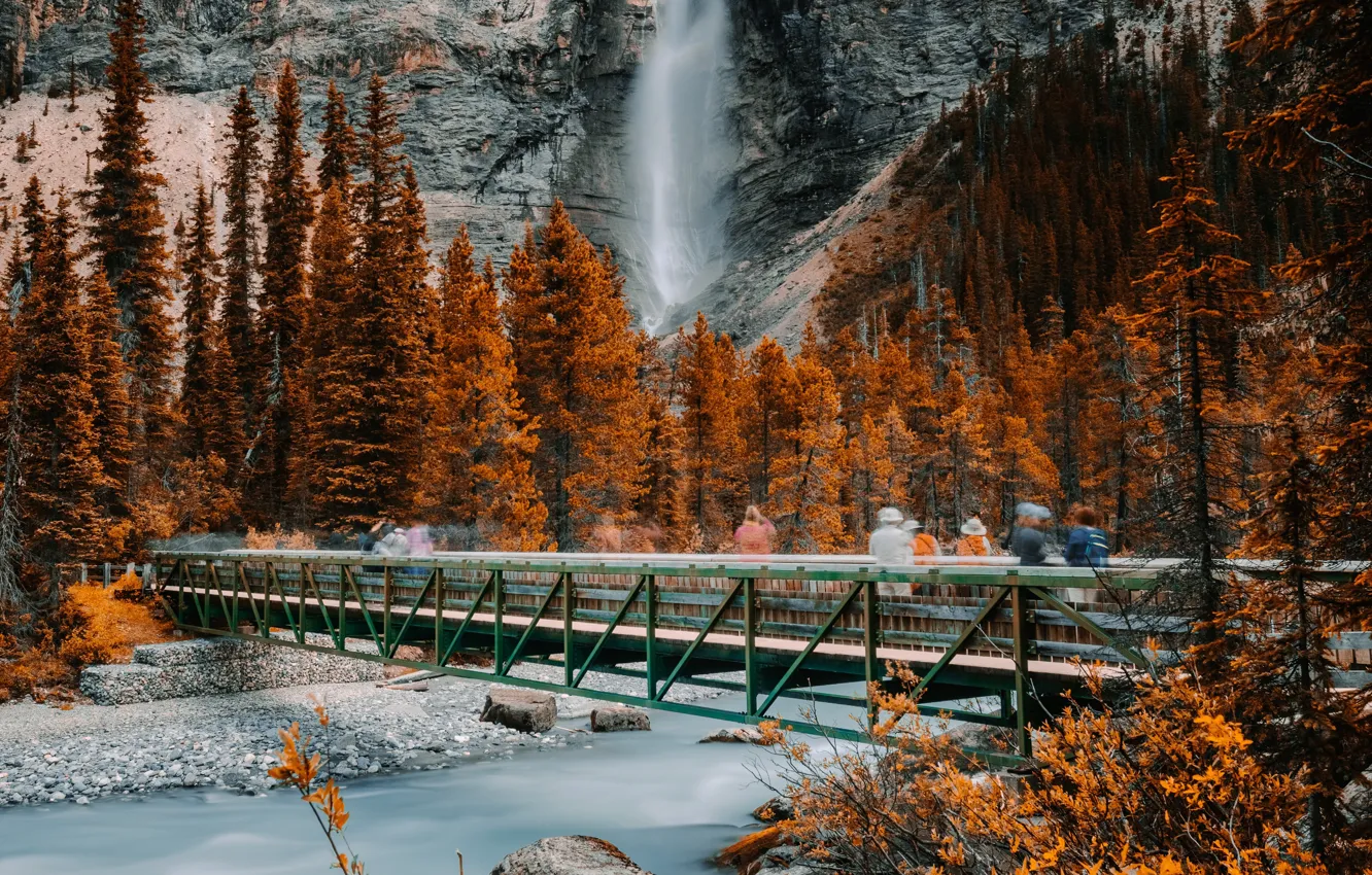 Photo wallpaper rock, Canada, river, trees, nature, bridge, autumn, mountain