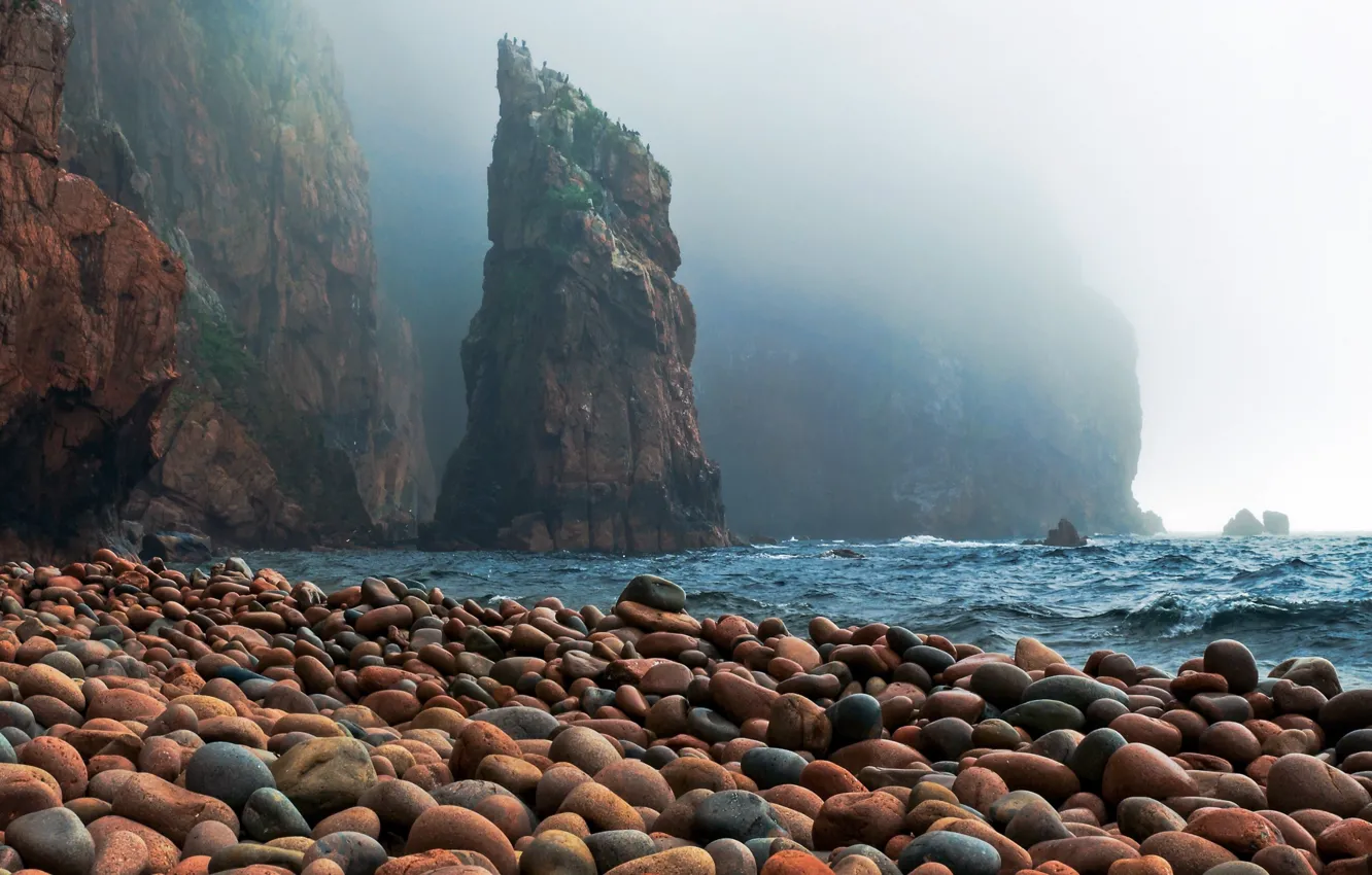 Photo wallpaper waves, sea, ocean, landscape, Coast, nature, water, rocks