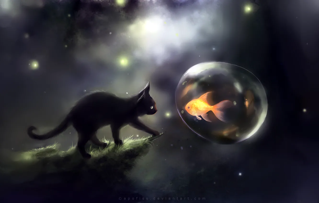 Photo wallpaper cat, bubbles, apofiss, Apophis