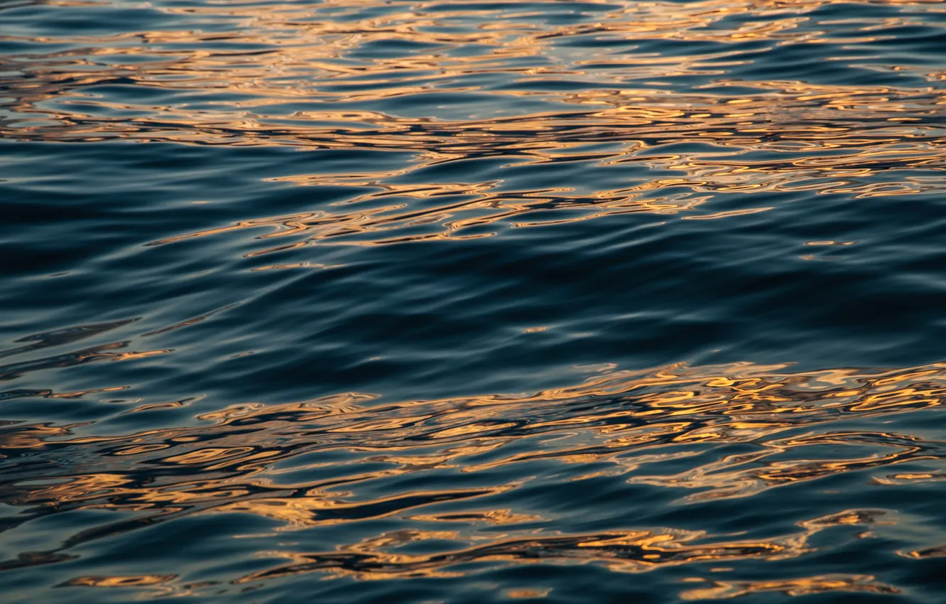 Photo wallpaper sea, wave, water surface, reflection of the sun