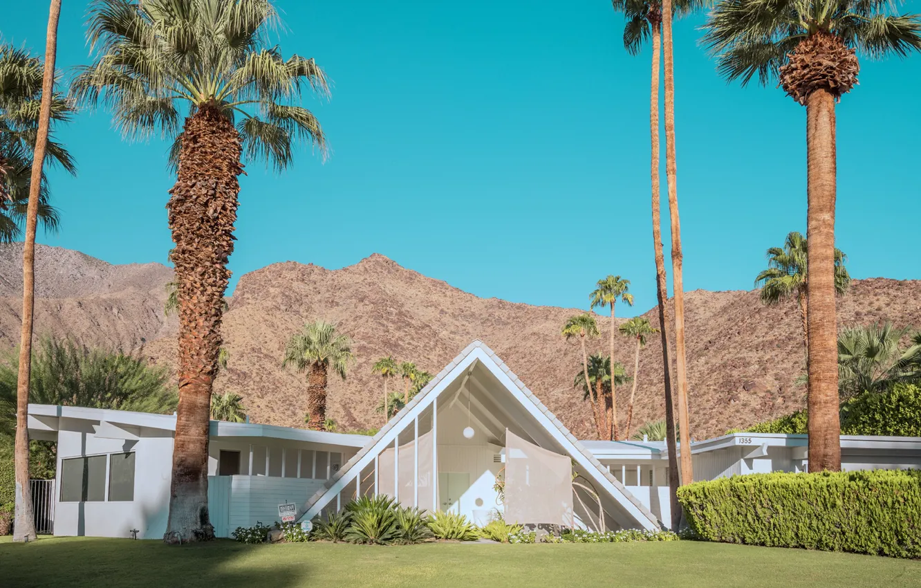 Photo wallpaper grass, mountains, palm trees, structure, PALM SPRINGS DESERT HOUSES