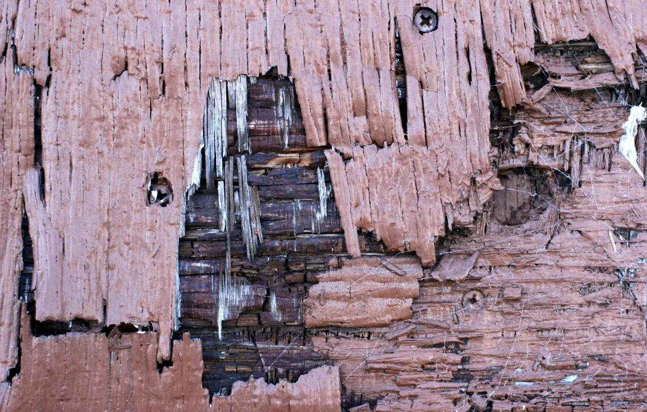 Photo wallpaper background, color, texture