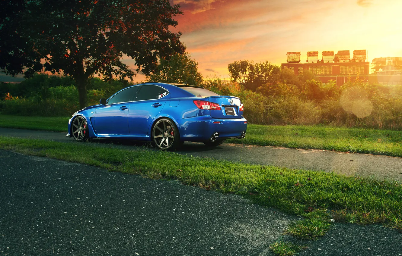 Photo wallpaper plant, Lexus, Blik, blue, rear, sun, IS F