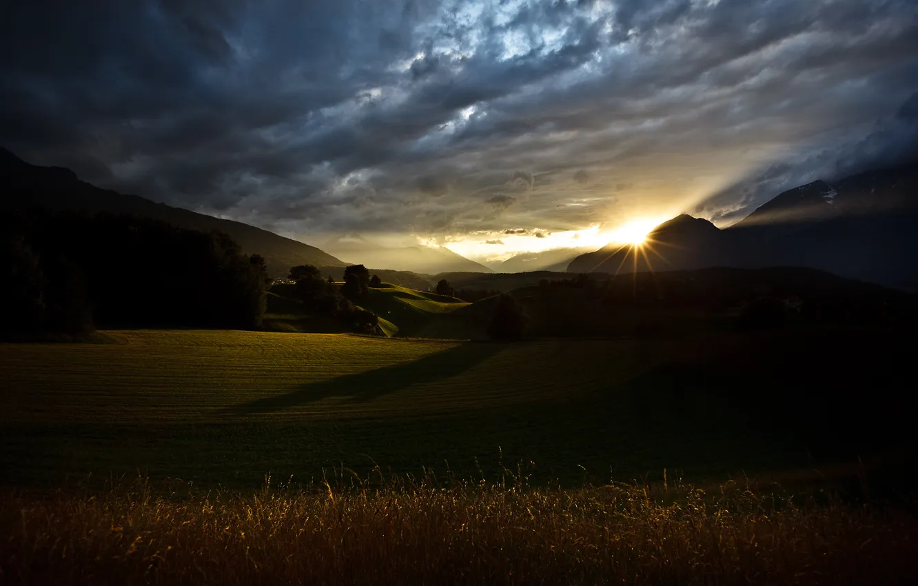 Photo wallpaper field, the sky, the sun, trees, hills