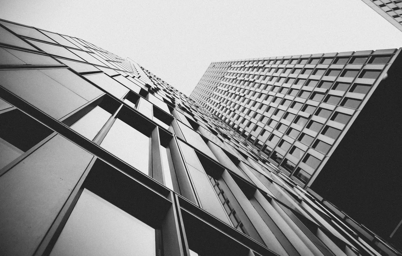 Photo wallpaper windows, black and white, buildings, skyscrapers, b/w