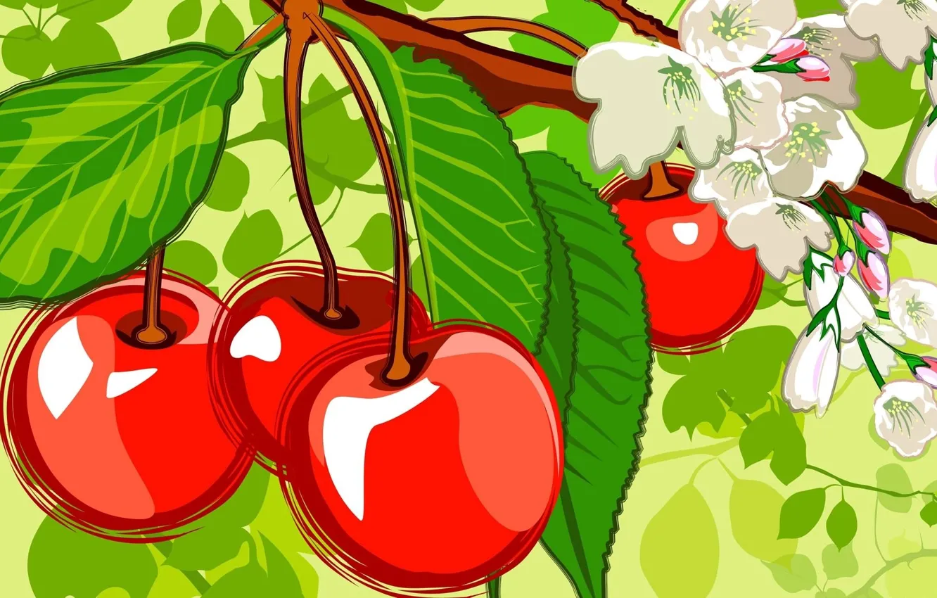 Photo wallpaper leaves, flowers, cherry, cherry