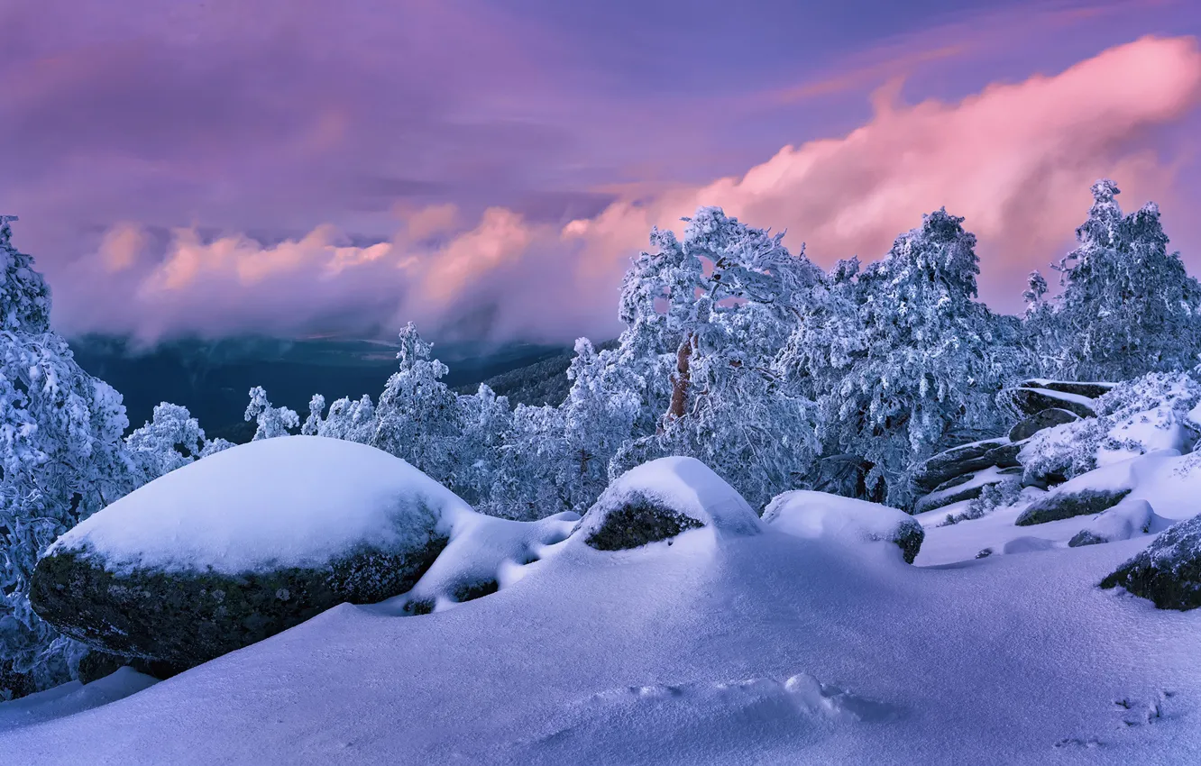 Photo wallpaper winter, snow, trees, sunset, stones, the snow, Spain, Spain