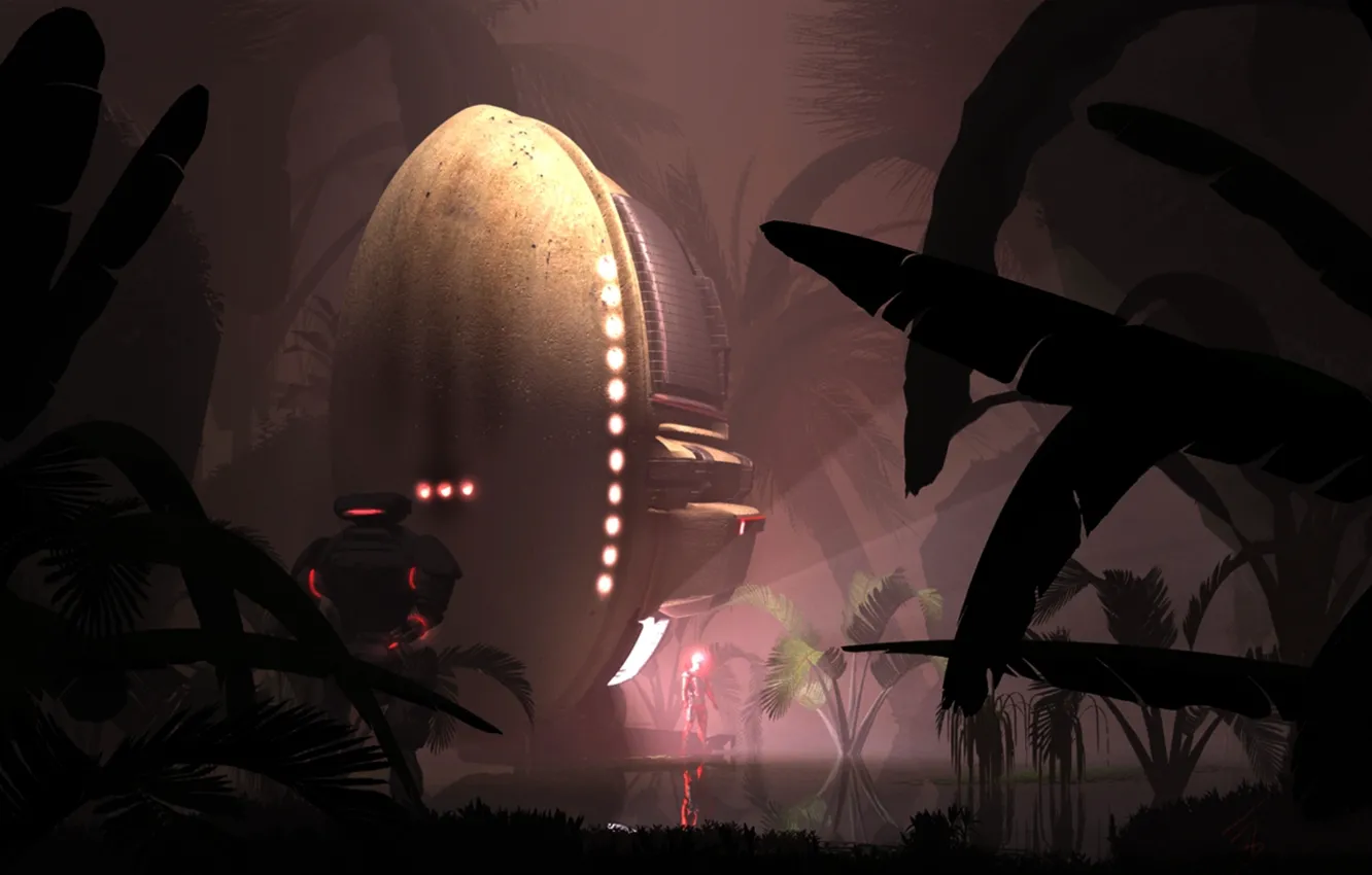 Photo wallpaper space, night, jungle