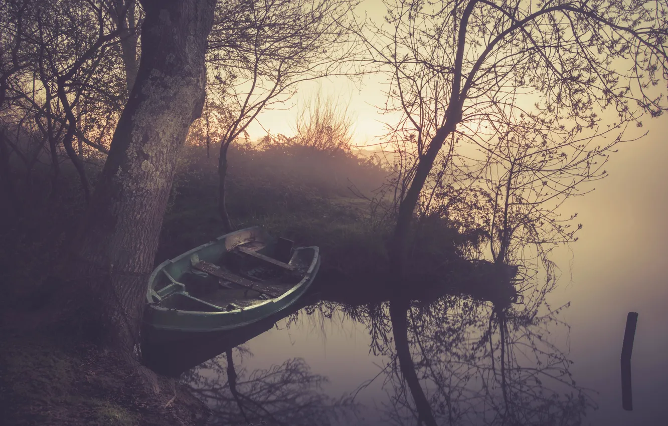 Photo wallpaper fog, lake, reflection, tree, dawn, branch, boat, mirror