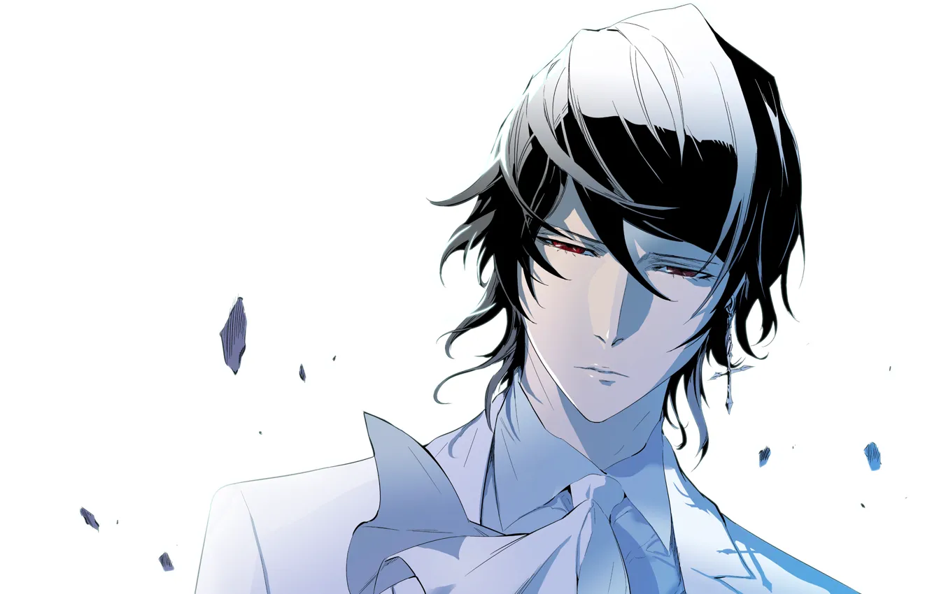 Photo wallpaper look, shirt, manga, Ray, Ray, the ancient tie, Nobless, Noblesse