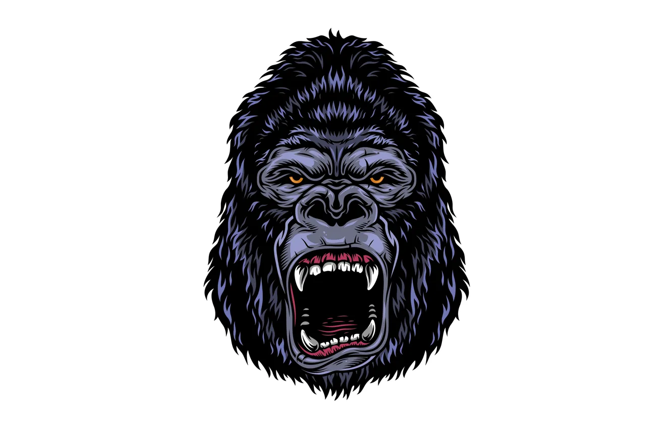 Photo wallpaper look, face, art, gorilla, fangs, grin, white background, vector graphics