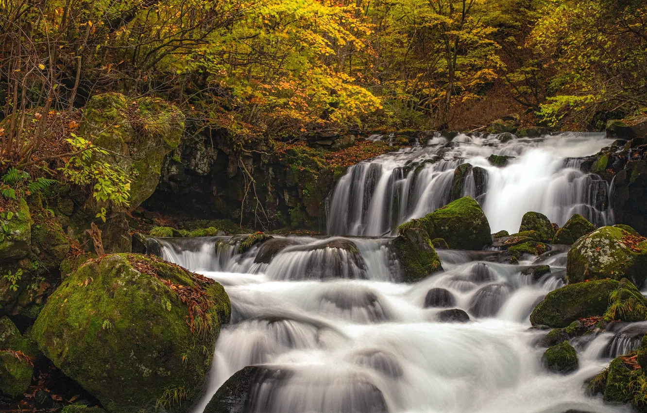 Photo wallpaper autumn, forest, river, stones, waterfall, moss, Japan, panorama