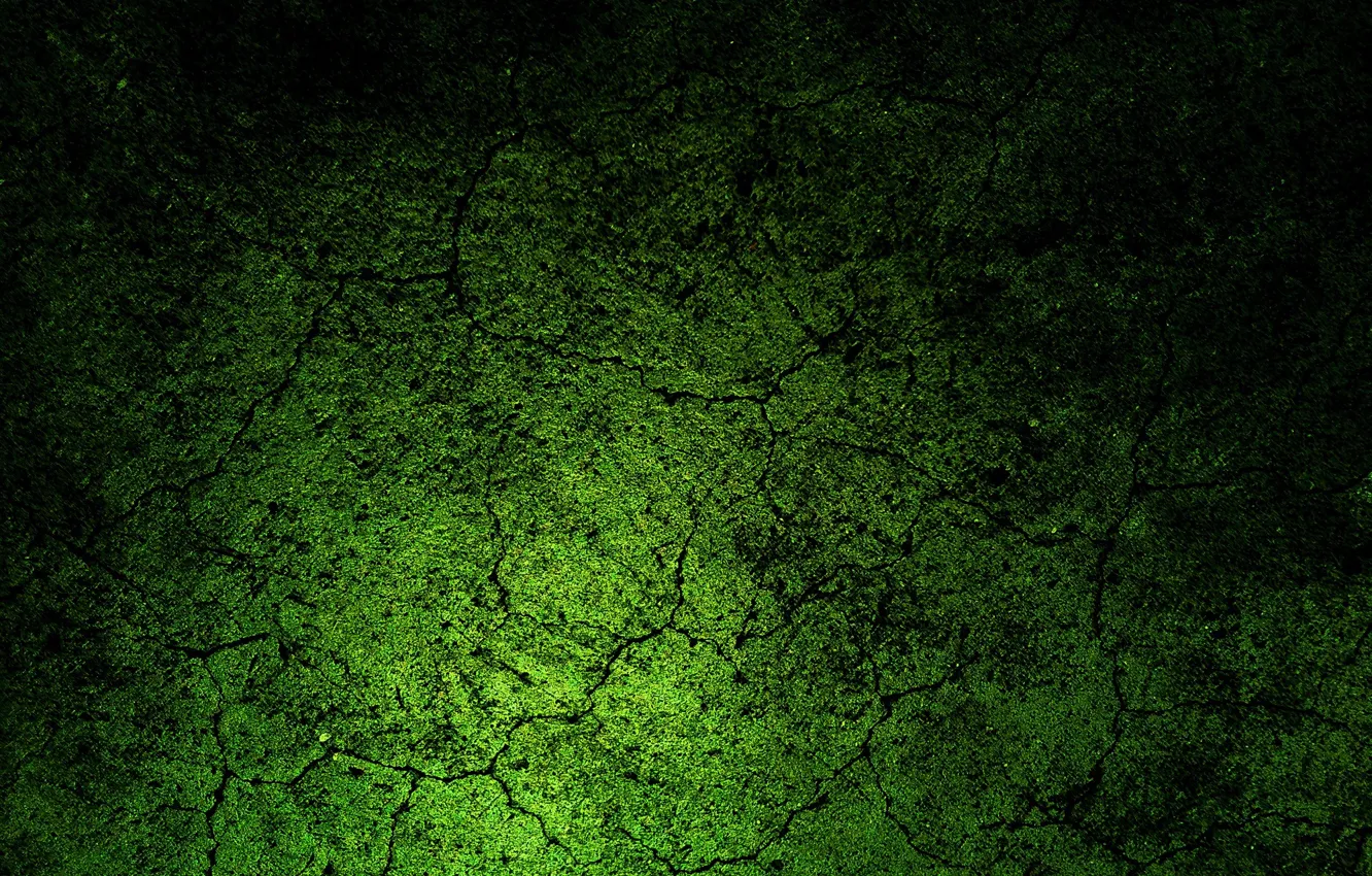 Photo wallpaper abstraction, green, green, texture, texture, abstraction, 1920x1434
