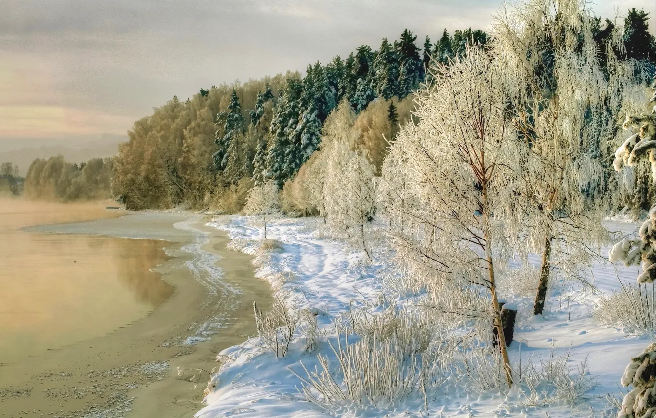 Photo wallpaper winter, snow, trees, nature, river, photo, coast