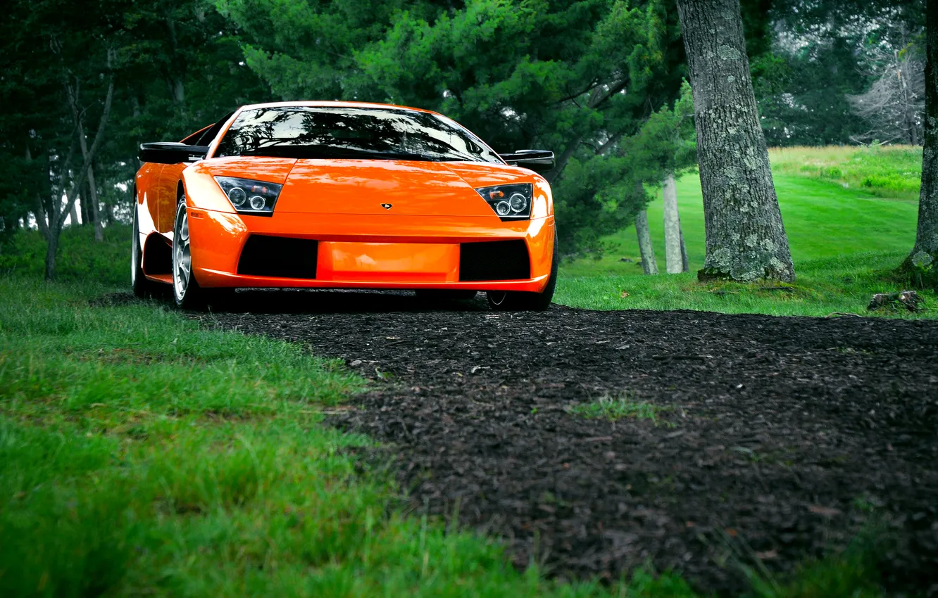 Photo wallpaper Lamborghini, murcielago, orange, bull